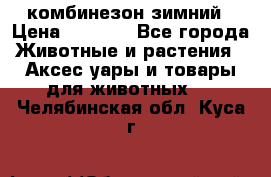 комбинезон зимний › Цена ­ 1 300 - Все города Животные и растения » Аксесcуары и товары для животных   . Челябинская обл.,Куса г.